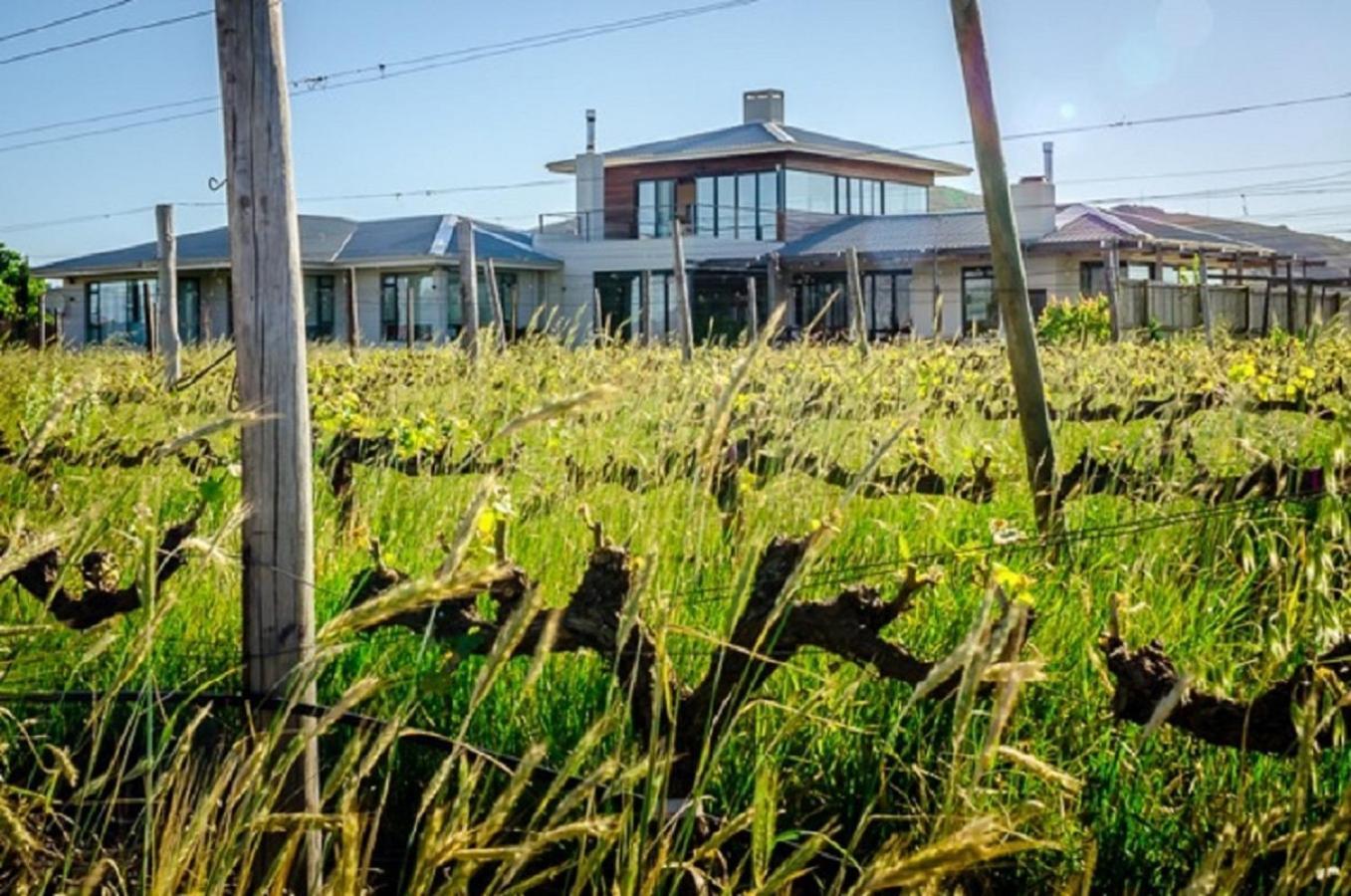Domaine Coutelier Stellenbosch Exterior foto