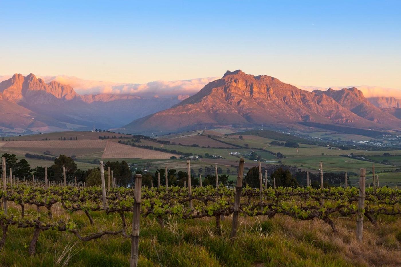 Domaine Coutelier Stellenbosch Exterior foto