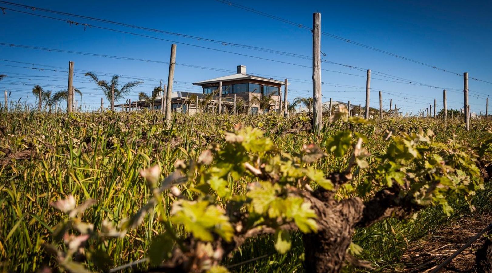 Domaine Coutelier Stellenbosch Exterior foto