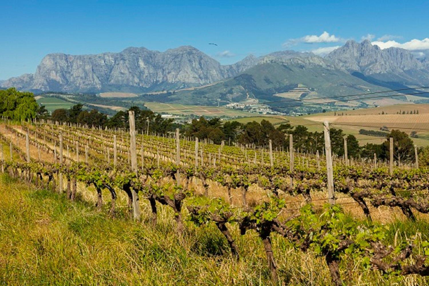 Domaine Coutelier Stellenbosch Exterior foto