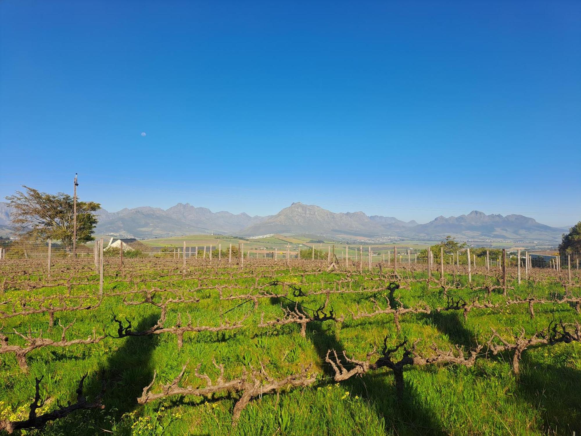 Domaine Coutelier Stellenbosch Quarto foto
